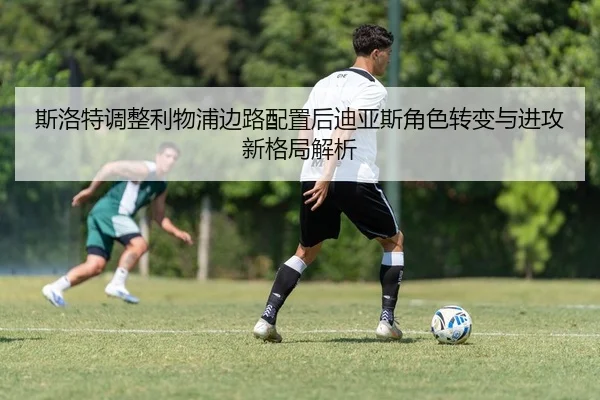 img_1783669130142_32_1_772.jpg